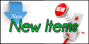 Bulk New Items