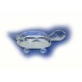 Crystal Turtles