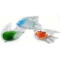 Glass Angel Fish