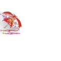 Strawberry Shortcake Umbrella
