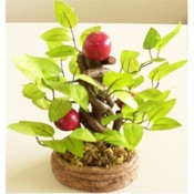 Artificial Plants With Fruits And Vase