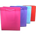 Giftbag Large Assorted 28X23X8Cm