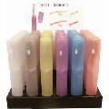 Reading Glasses. Frosted Case