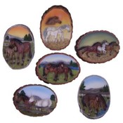 Horse Magnets