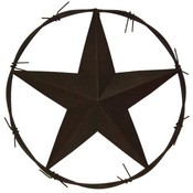 Metal Star with Barbwire 8"