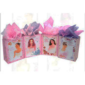 Mis Quince Anos Glossy Bag