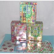 Holographic Box Bag