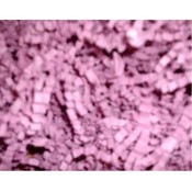 Kraft Crinkle Shred - Orchid
