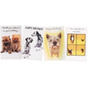 Greeting Cards - General Birthday Pets