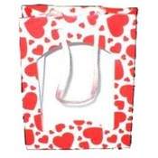 6" Tall Red/White Valentine's Day Gift Bag
