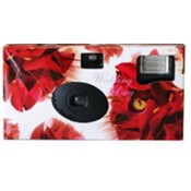 Wedding Camera