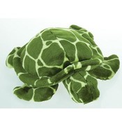 13" Tortoise