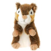 5" "Jay"  Chipmunk  In Container