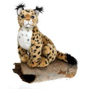 11.5" Plush Bobcat