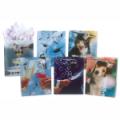 Medium Size-Poly Translucent Graduation Gift Bags