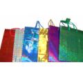 Large Hologram Bag