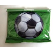 Rubbermaid&reg; Blue Ice&reg; Soccer Pack