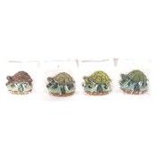 Turtle Magnet