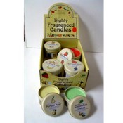 Fruit Candle Scented Tin