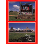 Arkansas Postcard 12178 Queen Wilhelmina