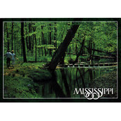 Mississippi Postcard 12300 Rock Springs