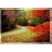 Mississippi Postcard 12302 Old Trace Dr
