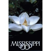 Mississippi Postcard 12310 Magnolia