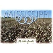 Mississippi Postcard 12334 White Gold