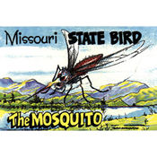 Missouri Postcard 12804 State Bird