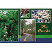 Ozarks Postcard 13037 Ozark 4 View