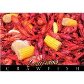 Louisiana Postcard 13228 Crawfish