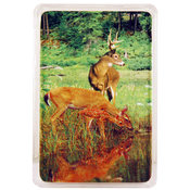 Missouri Playing Cards Deer