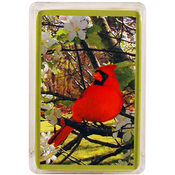 Missouri Playing Cards Cardinal