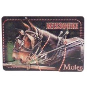 Missouri Magnet 3D Missouri Mules