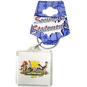 New Mexico Keychain Lucite Element