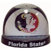 Florida State Waterball Oval