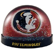 Florida State Magnet Waterball Shadow