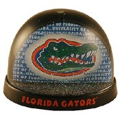 University Of Florida Waterball Shadow