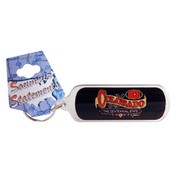 Colorado Keychain Lucite Banner