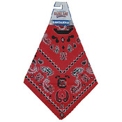 South Carolina University Bandana Team Color