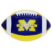 University Of Michigan Ball Football Pvc 12 Displa