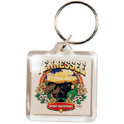 Tennessee Keychain Lucite 3 View