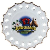 Tennessee Plate Spoke 6" Elements