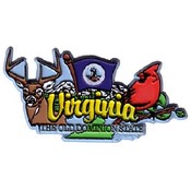 Virginia Magnet 2D Elements