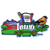 Iowa Magnet 2D Elements
