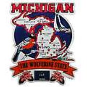 Michigan Magnet 2D State Map