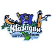 Michigan Magnet 2D Elements