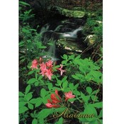 Alabama Postcard Al107 Waterfall