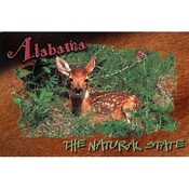 Alabama Postcard Al110 Fawn
