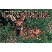Georgia Postcard  Ga107 Georgia Fawn